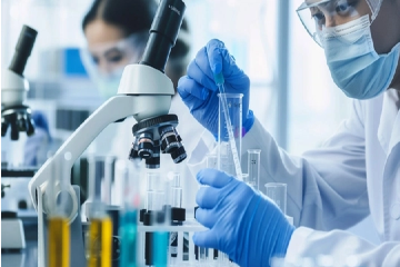 The Role of Micronized Lycopene in Modern Prostate Health Supplements