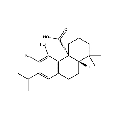 Carnosic Acid 3650-09-7