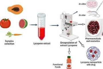 Lycopene supplement.jpg