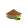Green Tea Extract
