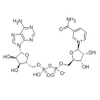 β-Nicotinamide adenine dinucleotide 53-84-9