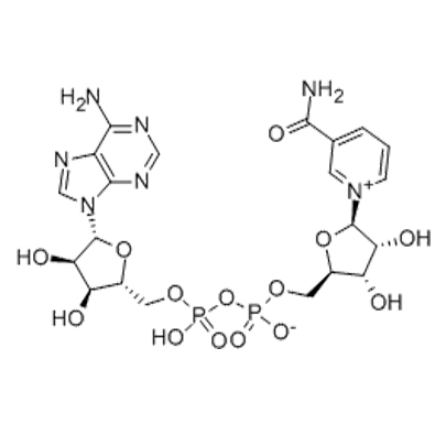 β-Nicotinamide adenine dinucleotide 53-84-9