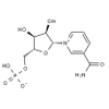 β-Nicotinamide Mononucleotide 1094-61-7