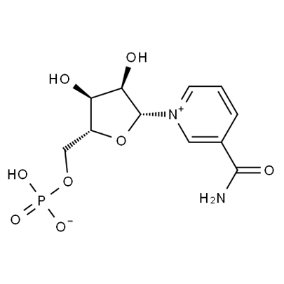 β-Nicotinamide Mononucleotide 1094-61-7
